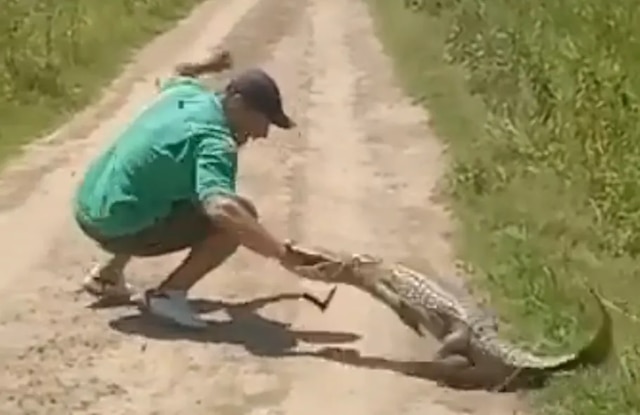 Video: Mades busca identificar al hombre que atacó con cuchillo a un yacaré - Policiales - ABC Color