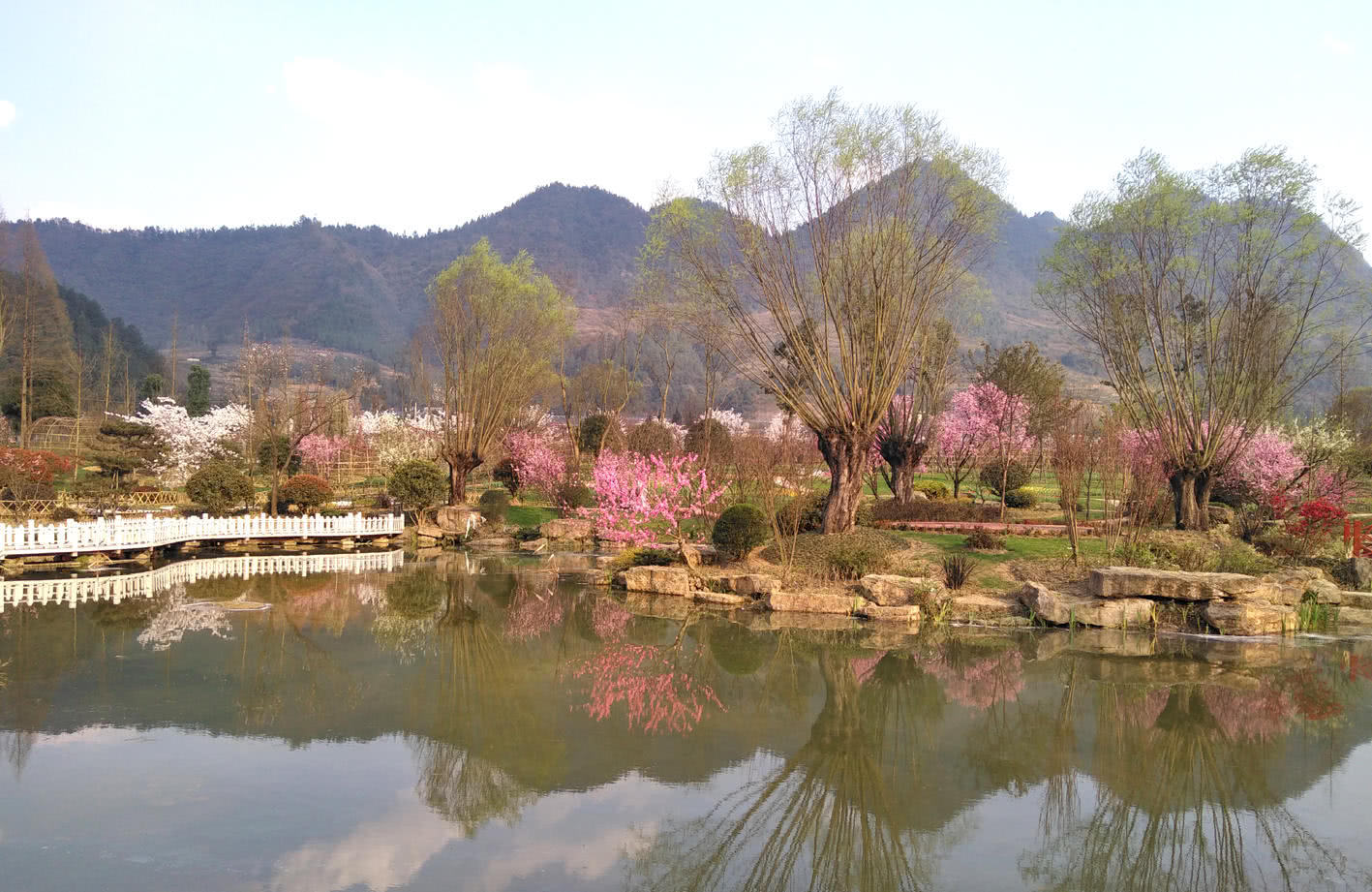 湄潭县水湄花谷景观图片