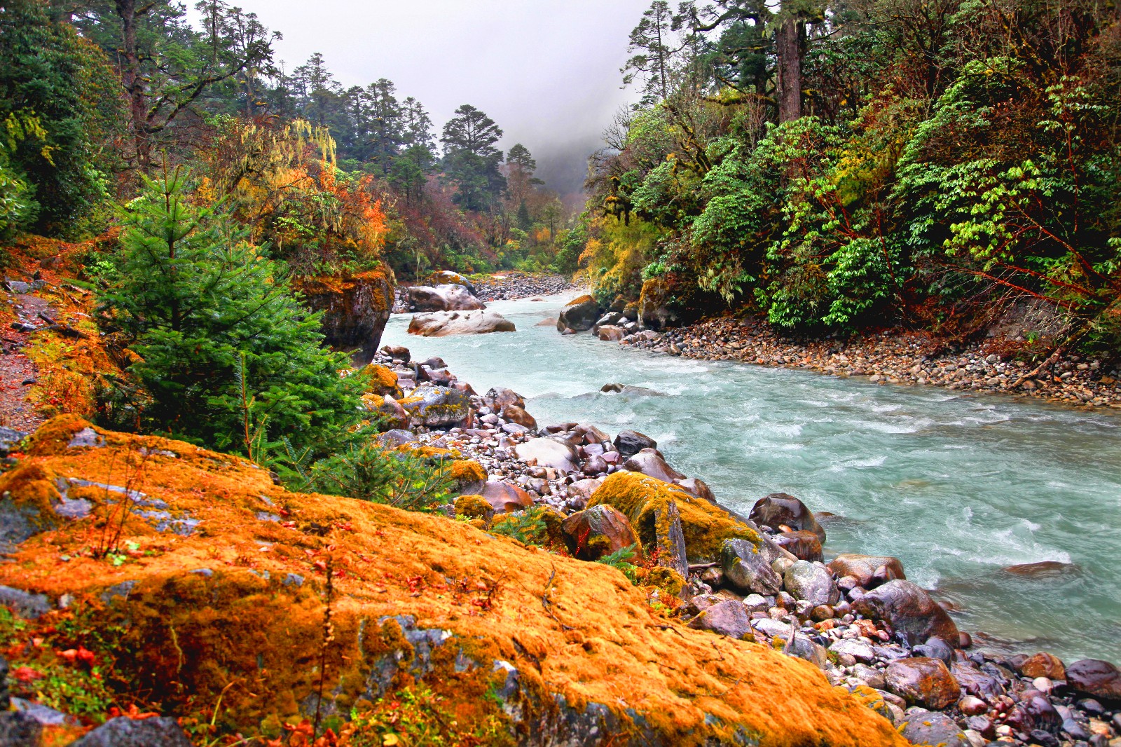 近年来日喀则旅游业呈现快速发展势头,全市共有a级景区58处,星级饭店