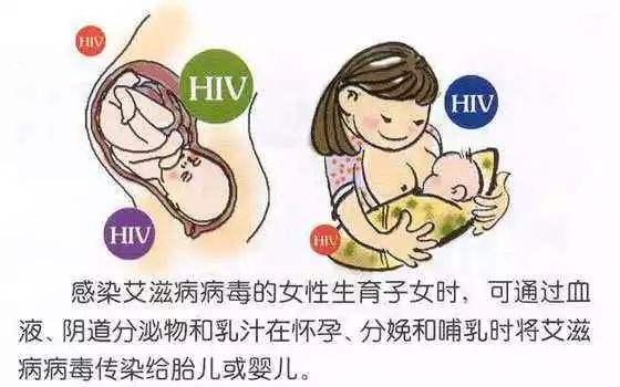 艾滋病的传播途径之母婴传播3, 母婴传播:胎儿在宫内感染艾滋病病毒
