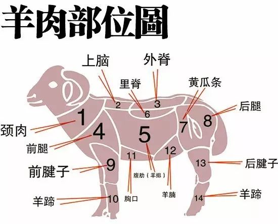 青海人和手抓羊肉的一个秘密