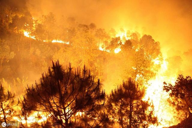 亚马逊雨林火灾竟成互联网商机