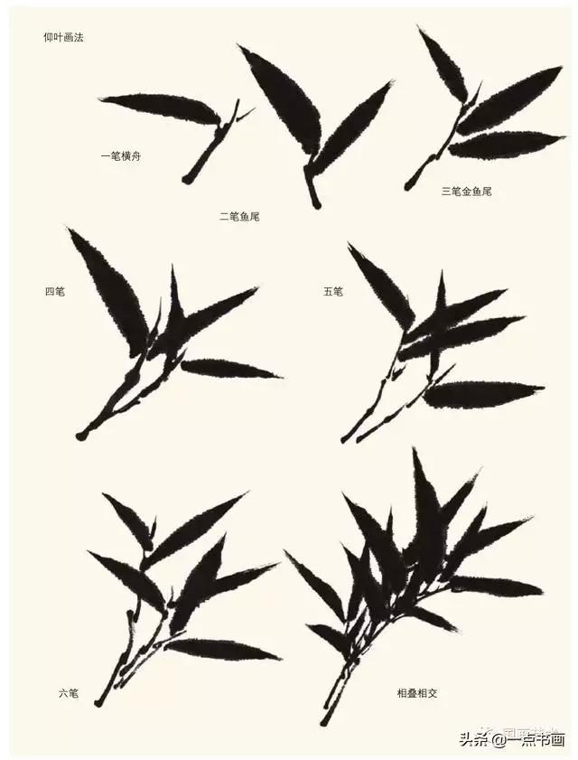 书画鉴赏丨竹子画法教程