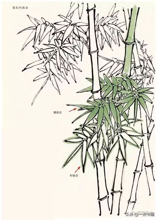 书画鉴赏丨竹子画法教程