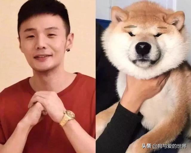 李荣浩自从我出道拯救了多少丑狗