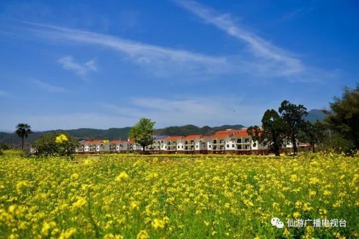 下村 城厢区华亭镇长岭村 城厢区华亭镇后塘村 城厢区华亭镇云峰村