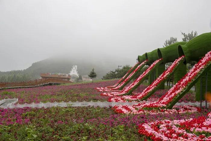 龙井填"国字号"项目!琵岩山温泉森林康养基地值得期待!