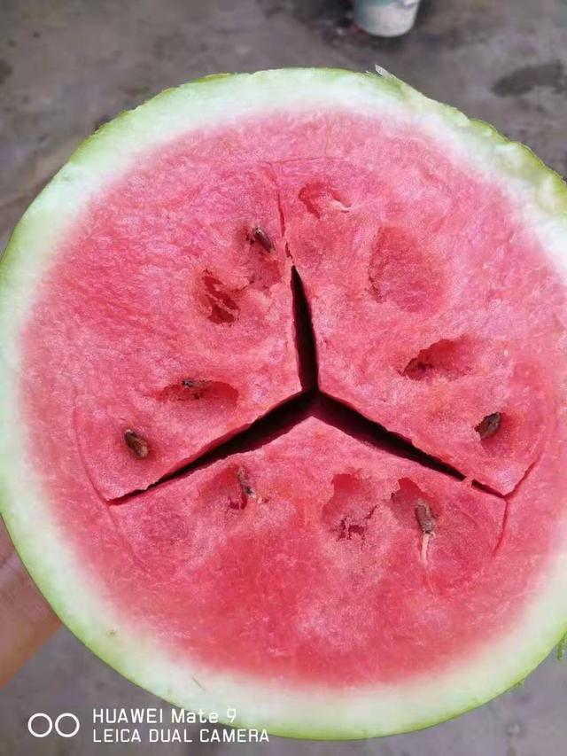 奔驰西瓜,有钱不一定吃得到的西瓜.