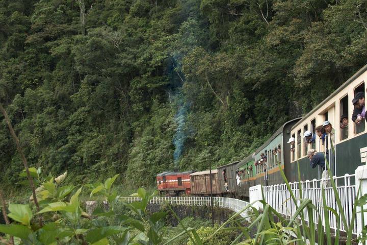 采茶 火车旅行,马达加斯加唯一的茶园里竟然还有这样的地方