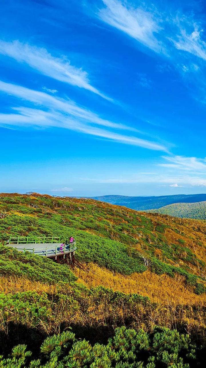 老白山原始生态风景区——野山野水原生态 冰天雪地老白山
