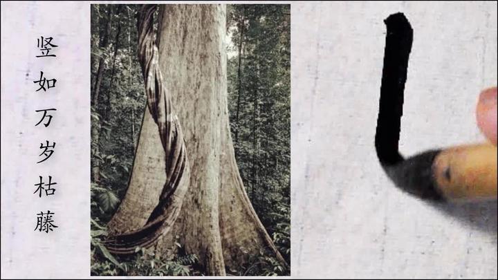 听许广丽老师声情并茂解读《笔阵图》-③ 竖如万岁枯藤