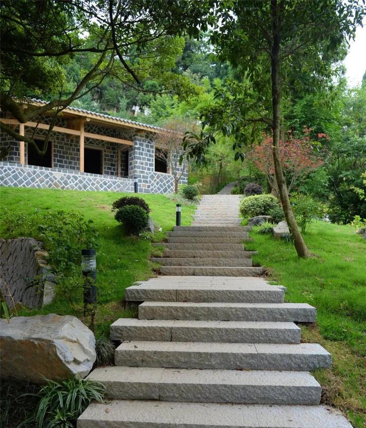 柳杉王公园全新亮相!