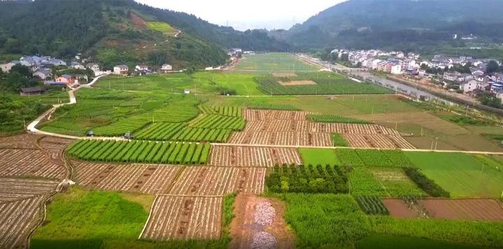 脱贫攻坚看余庆(第二期)丨访白泥镇党委书记张发龙