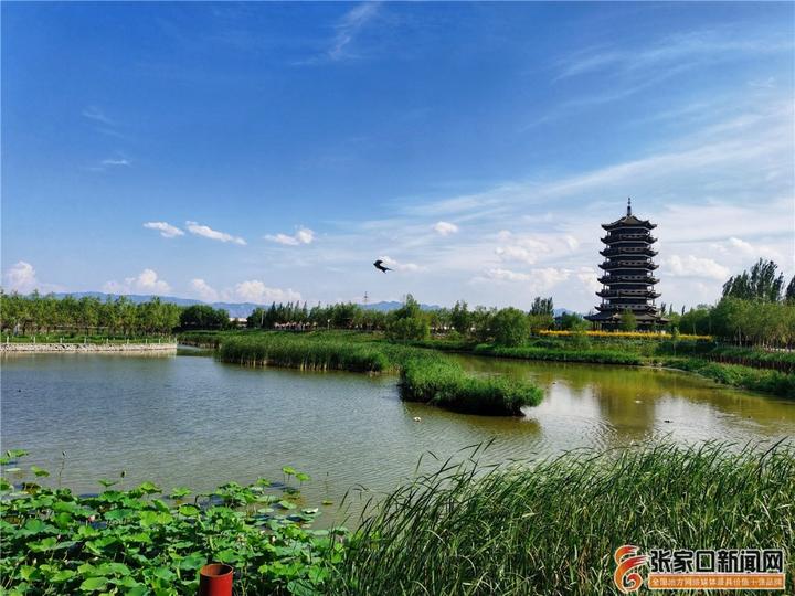 张家口 - 阳原县南湖公园好风光