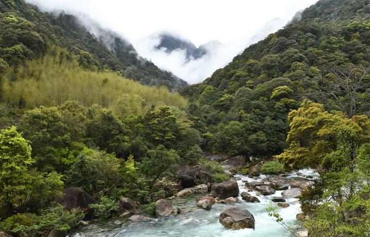 探访武夷山自然保护区