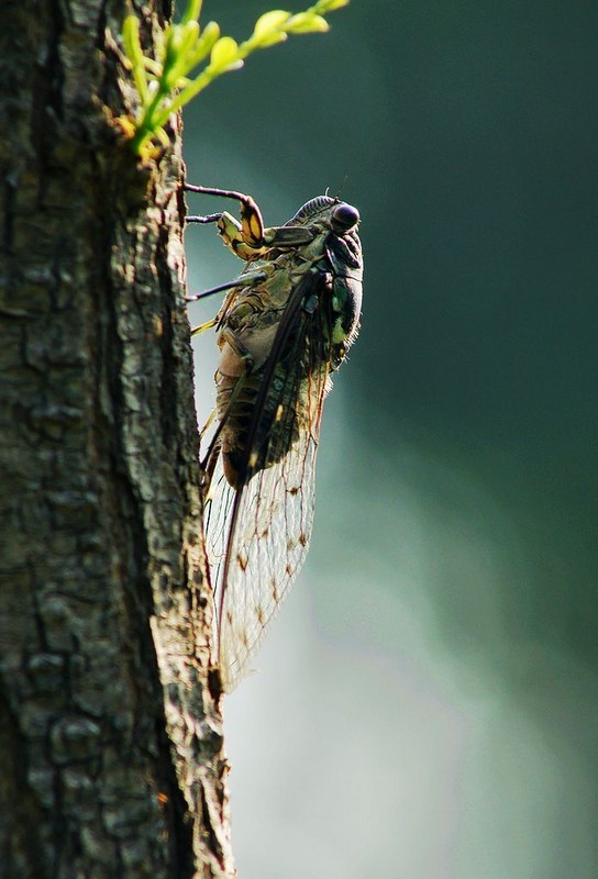 竹林文苑[060期]
