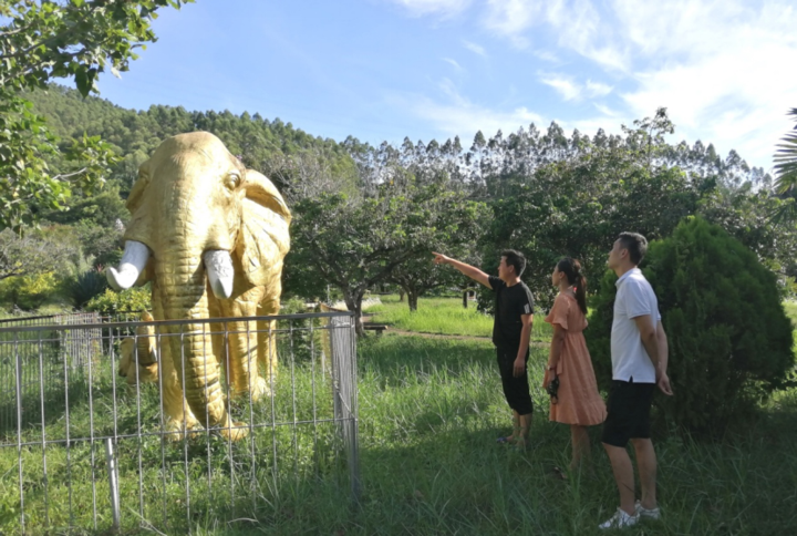 惠来大南山八国风情园图片