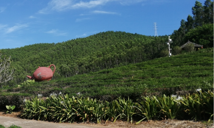 惠来大南山八国风情园图片