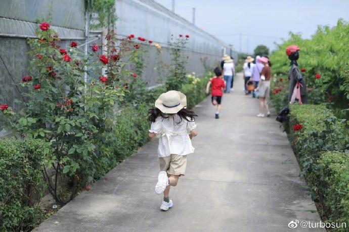 孙俪带女儿外出 小花妹妹肆意奔跑变身风一样的女子
