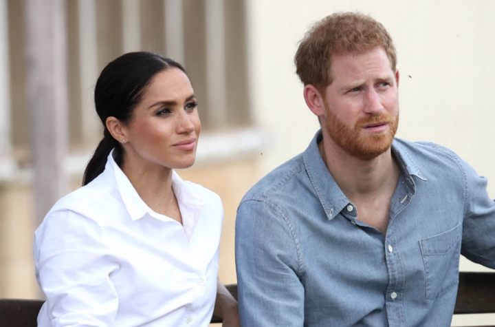 哈里王子夫妇资料图