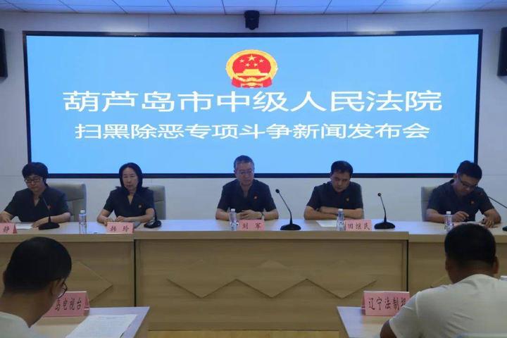 扫黑除恶葫芦岛281人被判刑