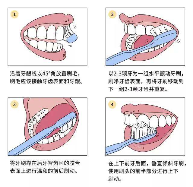 宝宝多大开始刷牙最好?(附宝宝长牙顺序表)