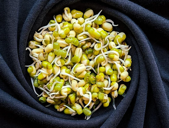 黄豆,绿豆,红豆,黑豆,蚕豆等,所以豆芽也分为黄豆芽,绿豆芽,蚕豆芽,黑