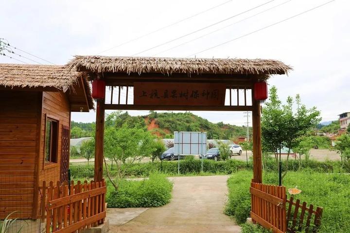 祝贺~ 上杭县湖洋镇文光村