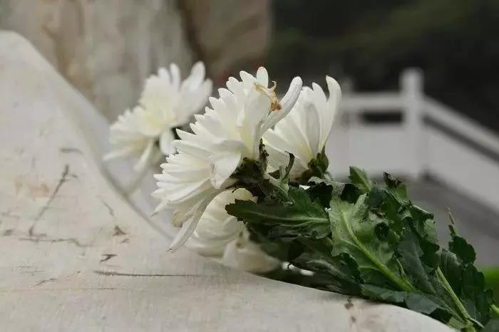中元节你准备怎样祭祀
