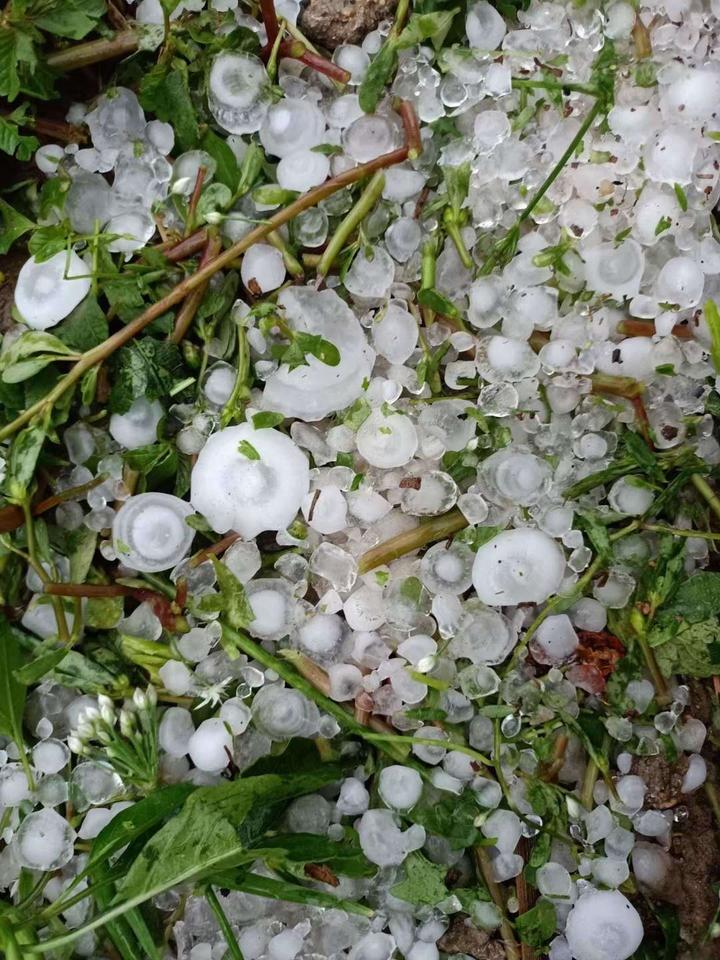 刚刚辽宁多地下冰雹