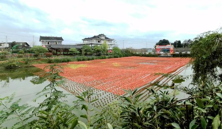 湄潭复兴镇:八角山下风车转 乡村旅游渐升温_遵义_新闻_华人头条
