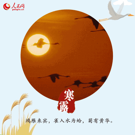 440_440gif 动态图 动图