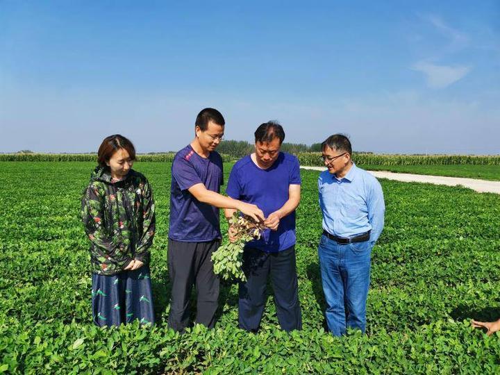 科技助農錦州建立科技試驗示範田6200畝