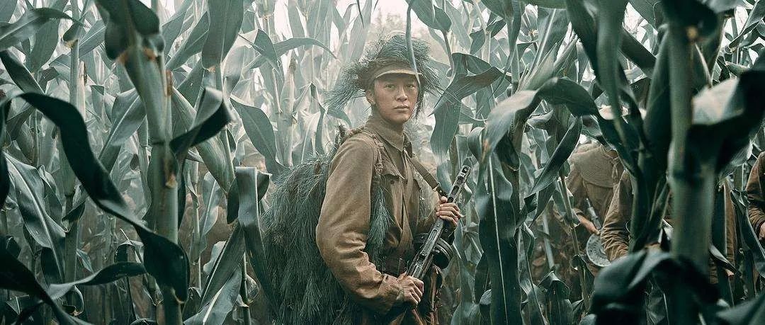 1953年,你十七八岁,黑黑瘦瘦的少年,已经是个老兵.