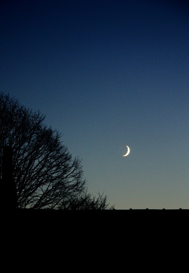 孟冬晓见文/居昕茶书社车历乡郊路火稀,一轮残月映林微.