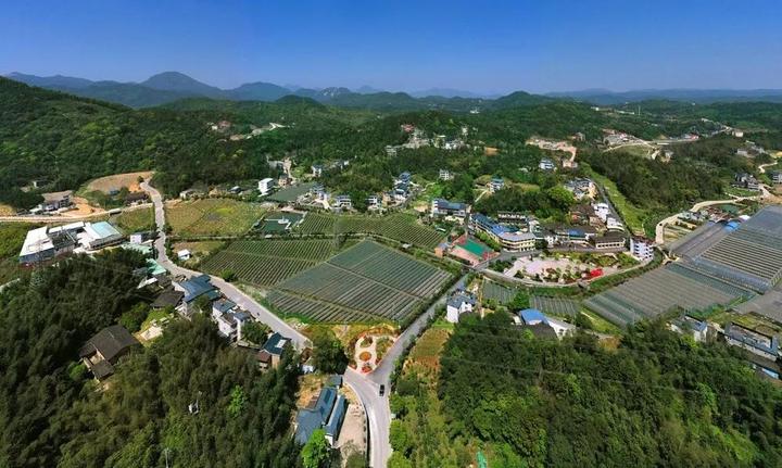 为晋安打call!福州这项评选活动启动啦!