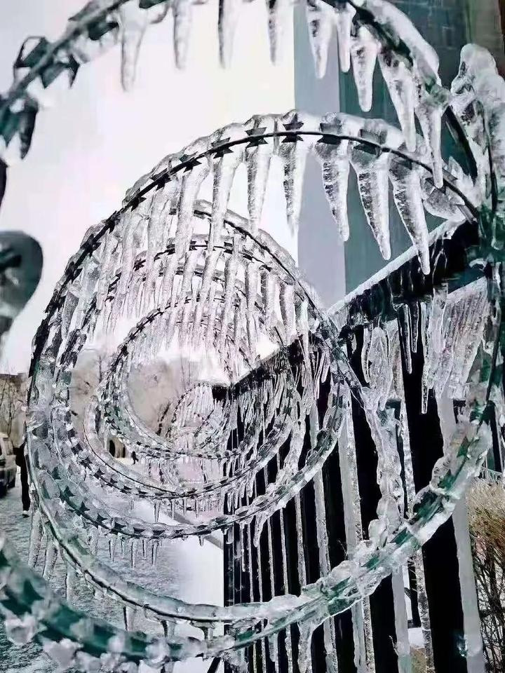 长春惊现"冻雨"奇观!这些图片你可能都没看过