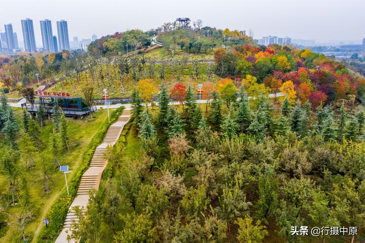 在鄭東新區的北龍湖西側,就是鄭州市森林公園鳳山園區.