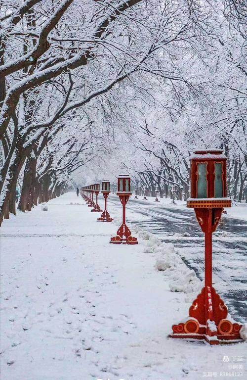 【作者简介】陈贺文(陈唯),公务员.中国诗歌学会会员 .