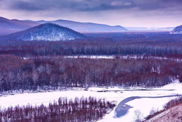 下雪了!不读这20句诗词,你就不知道雪有多美!_越南_新闻_华人头条