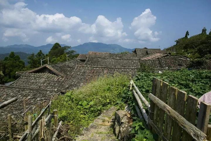 走进长坑村,与云雾结伴行,乡村新闻官带你探寻云端上的古村落