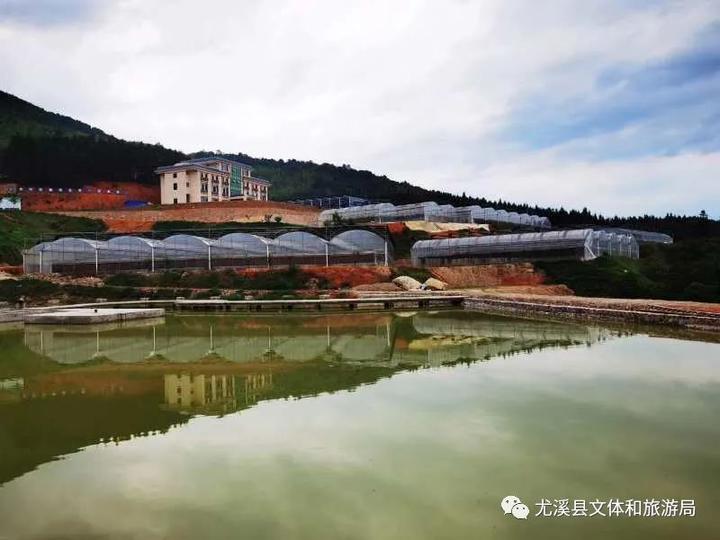 特色餐饮和民宿尤溪久泰小镇主景区地址 尤溪县联合镇岭头村(大陆山)