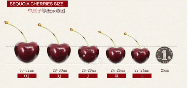 车厘子的核竟然有毒?澳洲已有大量人中招!