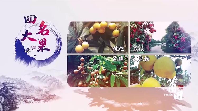 福建莆田四大名果