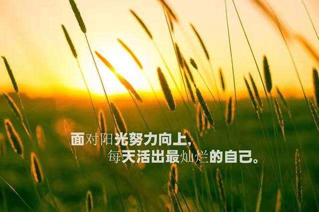 夕阳无限好只是近黄昏改一个什么字让意境与原句截然不同