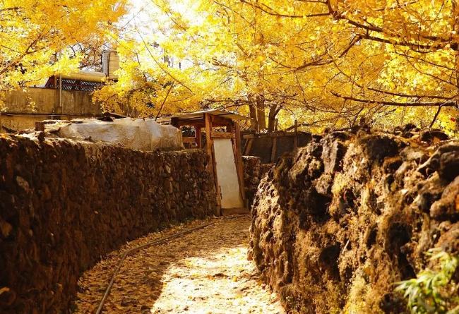 司藤取景地曝光比贵州原始比川西精彩此生不去心不安