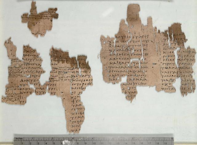 最古老的纸,古埃及的活化石:莎草纸