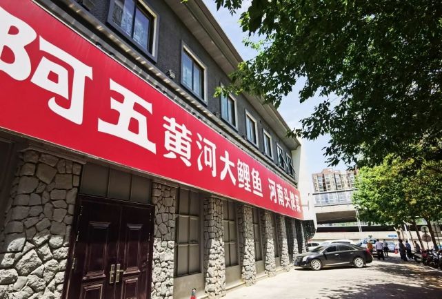 接连发生行道树频遭饭店下毒市民齐喊阿五黄河大鲤鱼创始人攀胜武出面