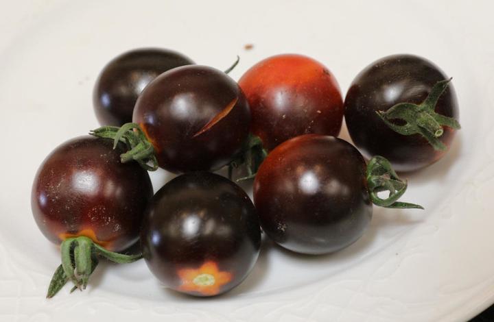 屡获殊荣的以色列黑番茄. (图片来源:agromashov)