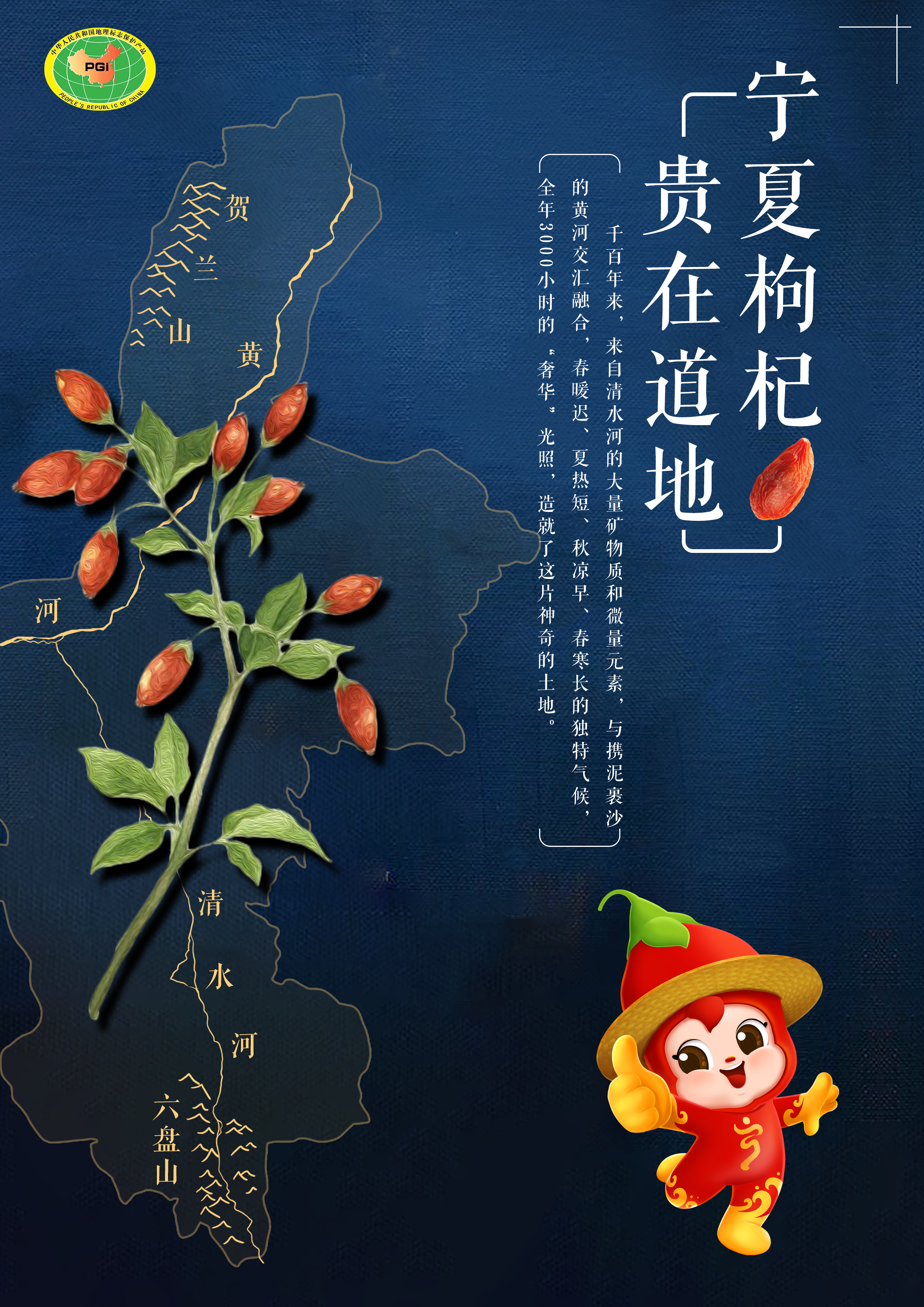 宁夏枸杞贵在道地中宁枸杞道地珍品